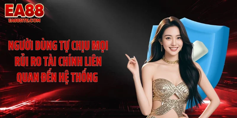 Người dùng tự chịu mọi rủi ro tài chính liên quan đến hệ thống