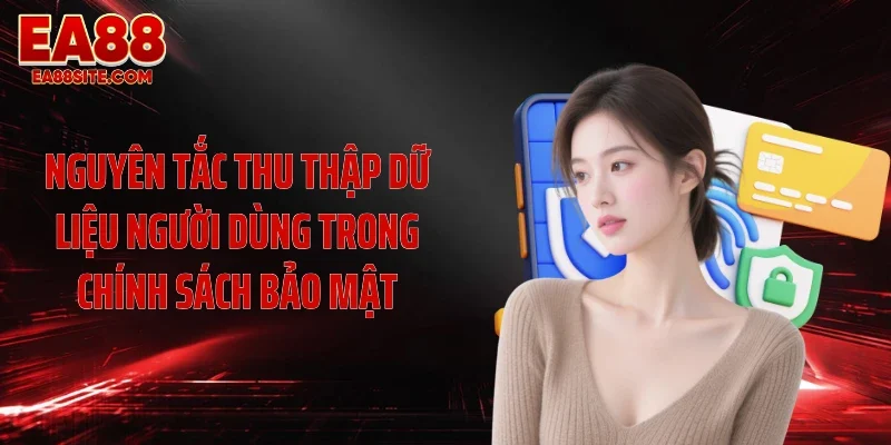 Nguyên tắc thu thập dữ liệu người dùng trong chính sách bảo mật